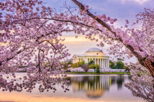 Image of Washington DC, USA at the Jefferson Memorial