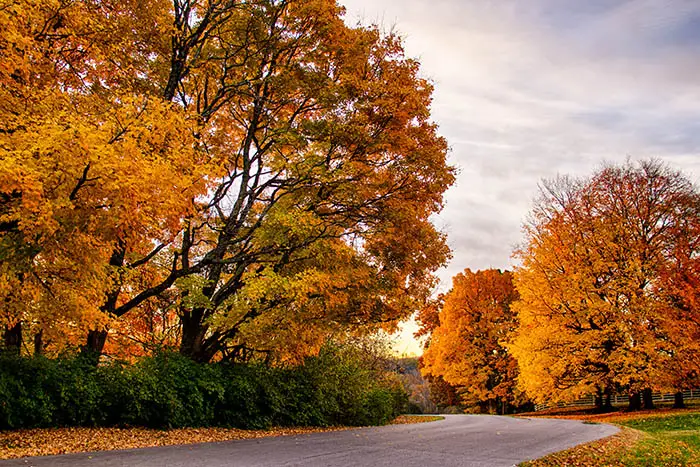 Romantic Weekend Getaway fall foliage bright colors