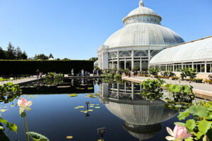 New York Botanical Garden Orchid Show